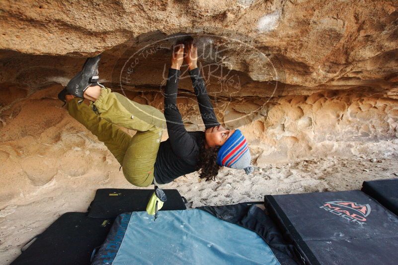 Bouldering in Hueco Tanks on 12/08/2018 with Blue Lizard Climbing and Yoga
Filename: SRM_20181208_1633111.jpg
Aperture: f/5.0
Shutter Speed: 1/250
Body: Canon EOS-1D Mark II
Lens: Canon EF 16-35mm f/2.8 L