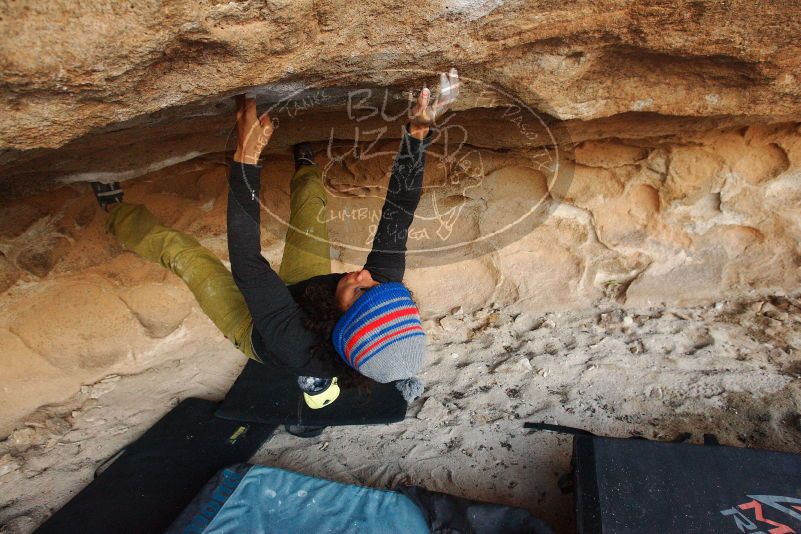 Bouldering in Hueco Tanks on 12/08/2018 with Blue Lizard Climbing and Yoga
Filename: SRM_20181208_1636490.jpg
Aperture: f/5.6
Shutter Speed: 1/250
Body: Canon EOS-1D Mark II
Lens: Canon EF 16-35mm f/2.8 L