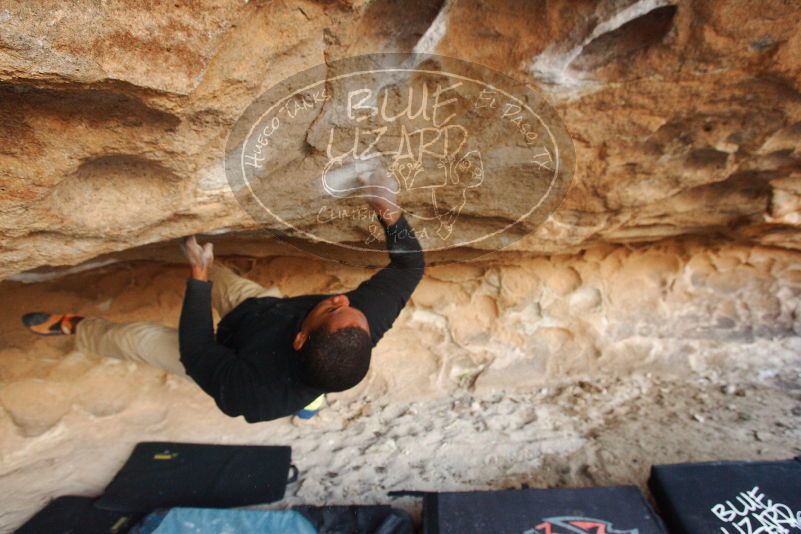 Bouldering in Hueco Tanks on 12/08/2018 with Blue Lizard Climbing and Yoga
Filename: SRM_20181208_1637530.jpg
Aperture: f/4.5
Shutter Speed: 1/250
Body: Canon EOS-1D Mark II
Lens: Canon EF 16-35mm f/2.8 L