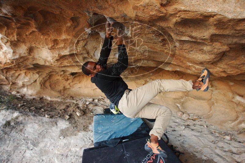 Bouldering in Hueco Tanks on 12/08/2018 with Blue Lizard Climbing and Yoga
Filename: SRM_20181208_1637590.jpg
Aperture: f/5.0
Shutter Speed: 1/250
Body: Canon EOS-1D Mark II
Lens: Canon EF 16-35mm f/2.8 L