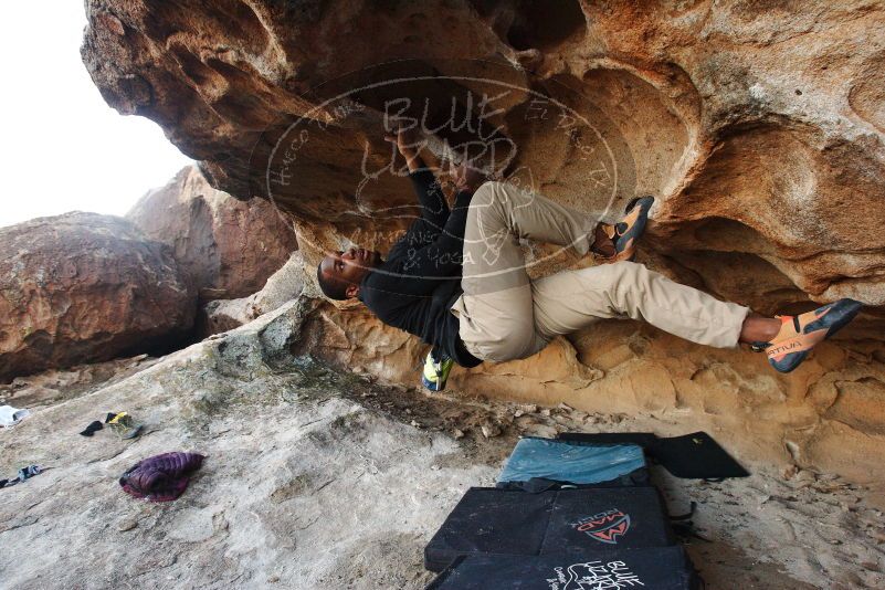 Bouldering in Hueco Tanks on 12/08/2018 with Blue Lizard Climbing and Yoga
Filename: SRM_20181208_1638080.jpg
Aperture: f/6.3
Shutter Speed: 1/250
Body: Canon EOS-1D Mark II
Lens: Canon EF 16-35mm f/2.8 L