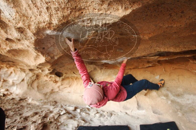 Bouldering in Hueco Tanks on 12/08/2018 with Blue Lizard Climbing and Yoga

Filename: SRM_20181208_1646330.jpg
Aperture: f/3.5
Shutter Speed: 1/250
Body: Canon EOS-1D Mark II
Lens: Canon EF 16-35mm f/2.8 L