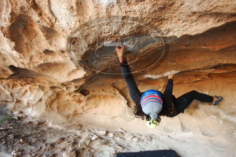 Bouldering in Hueco Tanks on 12/08/2018 with Blue Lizard Climbing and Yoga
Filename: SRM_20181208_1659320.jpg
Aperture: f/2.8
Shutter Speed: 1/250
Body: Canon EOS-1D Mark II
Lens: Canon EF 16-35mm f/2.8 L