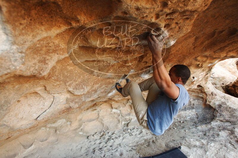 Bouldering in Hueco Tanks on 12/08/2018 with Blue Lizard Climbing and Yoga
Filename: SRM_20181208_1701170.jpg
Aperture: f/4.0
Shutter Speed: 1/250
Body: Canon EOS-1D Mark II
Lens: Canon EF 16-35mm f/2.8 L