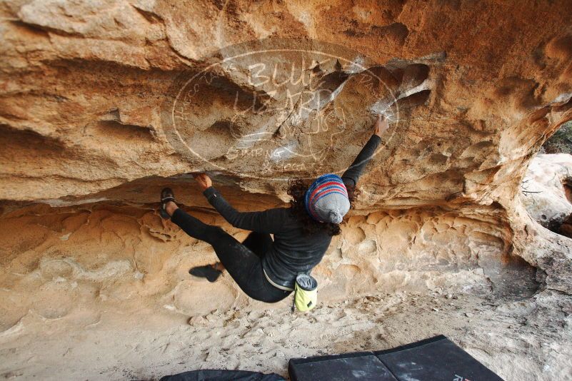 Bouldering in Hueco Tanks on 12/08/2018 with Blue Lizard Climbing and Yoga

Filename: SRM_20181208_1715480.jpg
Aperture: f/4.0
Shutter Speed: 1/250
Body: Canon EOS-1D Mark II
Lens: Canon EF 16-35mm f/2.8 L