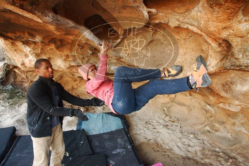 Bouldering in Hueco Tanks on 12/08/2018 with Blue Lizard Climbing and Yoga

Filename: SRM_20181208_1722510.jpg
Aperture: f/4.5
Shutter Speed: 1/200
Body: Canon EOS-1D Mark II
Lens: Canon EF 16-35mm f/2.8 L