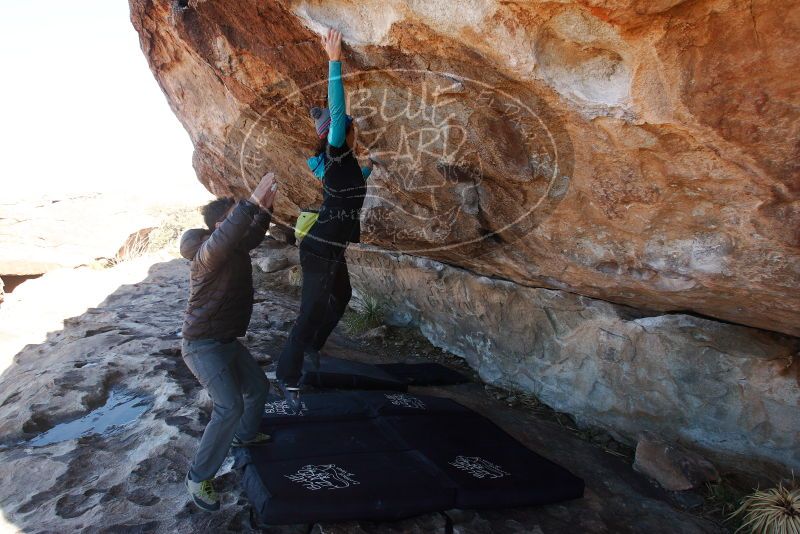 Bouldering in Hueco Tanks on 12/09/2018 with Blue Lizard Climbing and Yoga

Filename: SRM_20181209_1159420.jpg
Aperture: f/6.3
Shutter Speed: 1/250
Body: Canon EOS-1D Mark II
Lens: Canon EF 16-35mm f/2.8 L