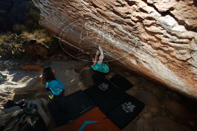 Bouldering in Hueco Tanks on 12/09/2018 with Blue Lizard Climbing and Yoga

Filename: SRM_20181209_1713360.jpg
Aperture: f/5.6
Shutter Speed: 1/250
Body: Canon EOS-1D Mark II
Lens: Canon EF 16-35mm f/2.8 L