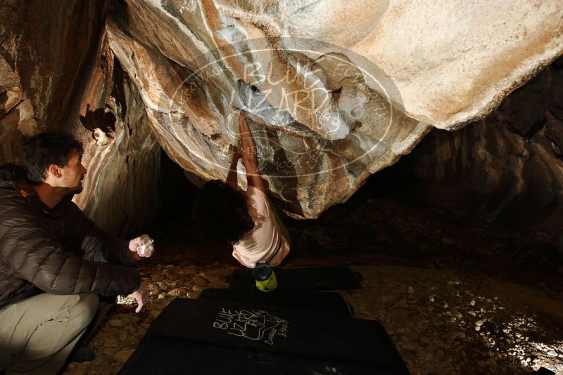 Bouldering in Hueco Tanks on 12/14/2018 with Blue Lizard Climbing and Yoga

Filename: SRM_20181214_1351180.jpg
Aperture: f/5.6
Shutter Speed: 1/250
Body: Canon EOS-1D Mark II
Lens: Canon EF 16-35mm f/2.8 L