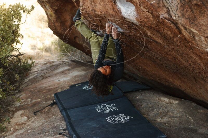 Bouldering in Hueco Tanks on 12/14/2018 with Blue Lizard Climbing and Yoga
Filename: SRM_20181214_1613420.jpg
Aperture: f/3.2
Shutter Speed: 1/250
Body: Canon EOS-1D Mark II
Lens: Canon EF 50mm f/1.8 II