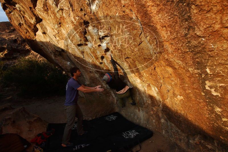 Bouldering in Hueco Tanks on 12/14/2018 with Blue Lizard Climbing and Yoga
Filename: SRM_20181214_1735260.jpg
Aperture: f/4.5
Shutter Speed: 1/250
Body: Canon EOS-1D Mark II
Lens: Canon EF 16-35mm f/2.8 L