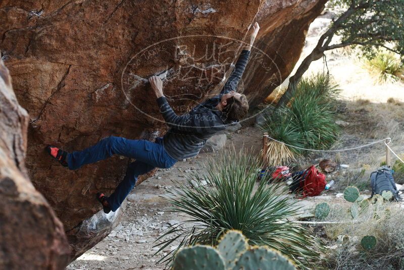 Bouldering in Hueco Tanks on 12/21/2018 with Blue Lizard Climbing and Yoga
Filename: SRM_20181221_1200520.jpg
Aperture: f/5.0
Shutter Speed: 1/250
Body: Canon EOS-1D Mark II
Lens: Canon EF 50mm f/1.8 II
