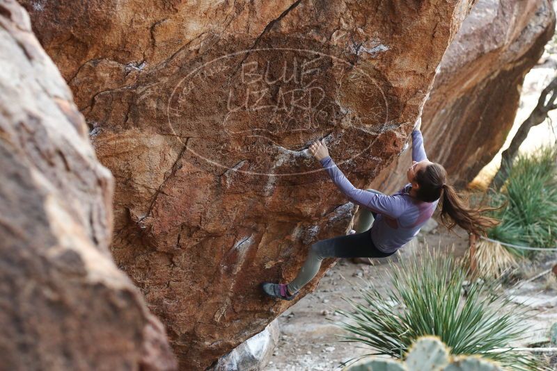 Bouldering in Hueco Tanks on 12/21/2018 with Blue Lizard Climbing and Yoga
Filename: SRM_20181221_1206550.jpg
Aperture: f/3.2
Shutter Speed: 1/320
Body: Canon EOS-1D Mark II
Lens: Canon EF 50mm f/1.8 II