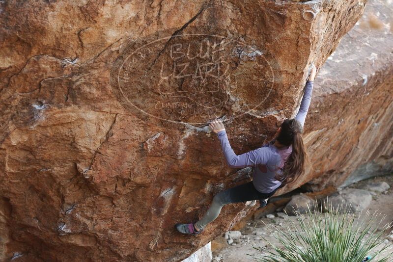 Bouldering in Hueco Tanks on 12/21/2018 with Blue Lizard Climbing and Yoga
Filename: SRM_20181221_1211350.jpg
Aperture: f/3.5
Shutter Speed: 1/320
Body: Canon EOS-1D Mark II
Lens: Canon EF 50mm f/1.8 II