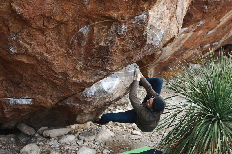 Bouldering in Hueco Tanks on 12/21/2018 with Blue Lizard Climbing and Yoga
Filename: SRM_20181221_1213300.jpg
Aperture: f/4.0
Shutter Speed: 1/320
Body: Canon EOS-1D Mark II
Lens: Canon EF 50mm f/1.8 II