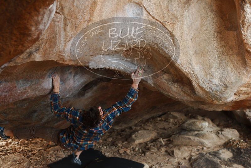 Bouldering in Hueco Tanks on 12/21/2018 with Blue Lizard Climbing and Yoga
Filename: SRM_20181221_1307370.jpg
Aperture: f/2.8
Shutter Speed: 1/250
Body: Canon EOS-1D Mark II
Lens: Canon EF 50mm f/1.8 II