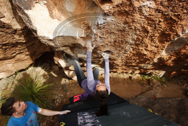 Bouldering in Hueco Tanks on 12/21/2018 with Blue Lizard Climbing and Yoga

Filename: SRM_20181221_1514370.jpg
Aperture: f/5.0
Shutter Speed: 1/320
Body: Canon EOS-1D Mark II
Lens: Canon EF 16-35mm f/2.8 L