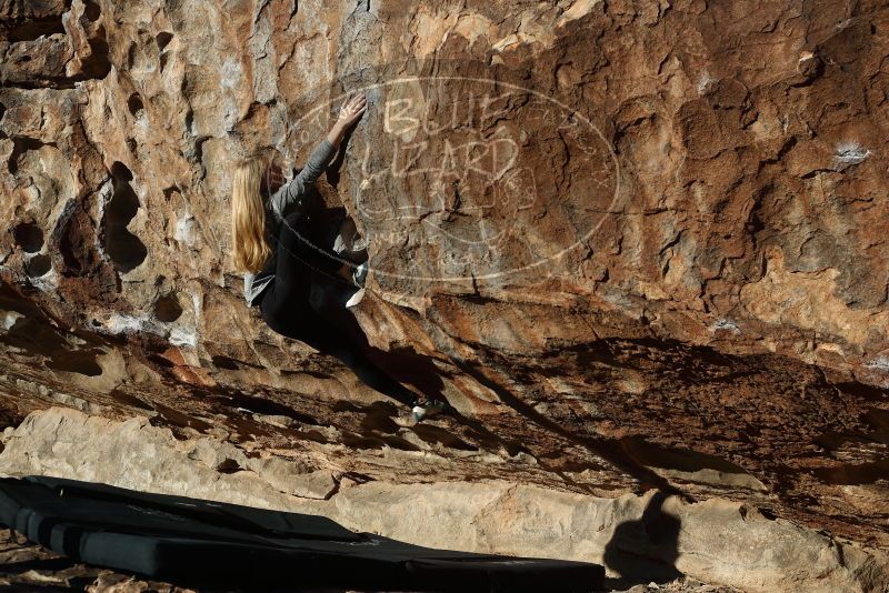 Bouldering in Hueco Tanks on 12/22/2018 with Blue Lizard Climbing and Yoga

Filename: SRM_20181222_1010060.jpg
Aperture: f/4.0
Shutter Speed: 1/1000
Body: Canon EOS-1D Mark II
Lens: Canon EF 50mm f/1.8 II