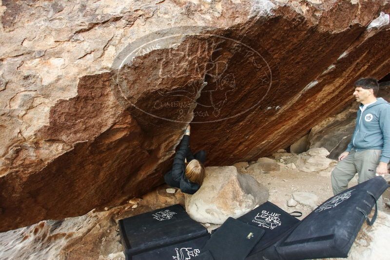 Bouldering in Hueco Tanks on 12/22/2018 with Blue Lizard Climbing and Yoga

Filename: SRM_20181222_1057440.jpg
Aperture: f/4.0
Shutter Speed: 1/200
Body: Canon EOS-1D Mark II
Lens: Canon EF 16-35mm f/2.8 L