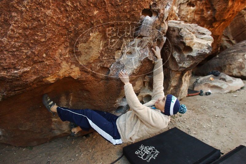 Bouldering in Hueco Tanks on 12/23/2018 with Blue Lizard Climbing and Yoga
Filename: SRM_20181223_1043150.jpg
Aperture: f/4.0
Shutter Speed: 1/400
Body: Canon EOS-1D Mark II
Lens: Canon EF 16-35mm f/2.8 L