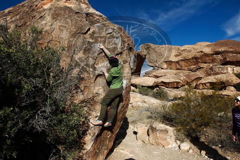 Bouldering in Hueco Tanks on 12/23/2018 with Blue Lizard Climbing and Yoga

Filename: SRM_20181223_1047350.jpg
Aperture: f/8.0
Shutter Speed: 1/400
Body: Canon EOS-1D Mark II
Lens: Canon EF 16-35mm f/2.8 L