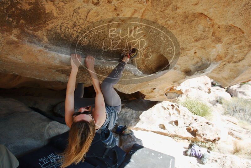 Bouldering in Hueco Tanks on 12/23/2018 with Blue Lizard Climbing and Yoga
Filename: SRM_20181223_1215310.jpg
Aperture: f/5.6
Shutter Speed: 1/400
Body: Canon EOS-1D Mark II
Lens: Canon EF 16-35mm f/2.8 L