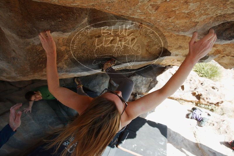 Bouldering in Hueco Tanks on 12/23/2018 with Blue Lizard Climbing and Yoga

Filename: SRM_20181223_1237560.jpg
Aperture: f/5.6
Shutter Speed: 1/400
Body: Canon EOS-1D Mark II
Lens: Canon EF 16-35mm f/2.8 L