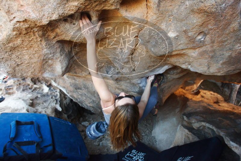 Bouldering in Hueco Tanks on 12/23/2018 with Blue Lizard Climbing and Yoga
Filename: SRM_20181223_1409590.jpg
Aperture: f/4.0
Shutter Speed: 1/200
Body: Canon EOS-1D Mark II
Lens: Canon EF 16-35mm f/2.8 L