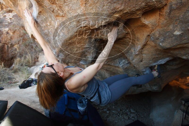 Bouldering in Hueco Tanks on 12/23/2018 with Blue Lizard Climbing and Yoga
Filename: SRM_20181223_1415420.jpg
Aperture: f/4.5
Shutter Speed: 1/320
Body: Canon EOS-1D Mark II
Lens: Canon EF 16-35mm f/2.8 L