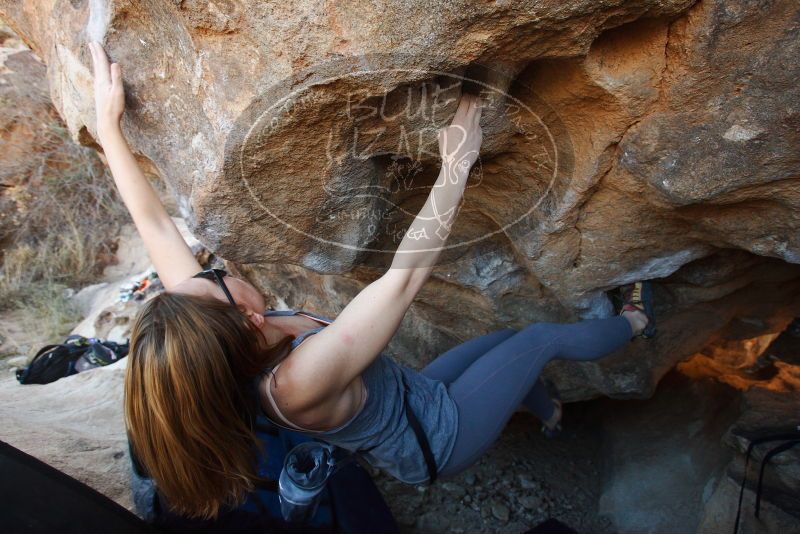 Bouldering in Hueco Tanks on 12/23/2018 with Blue Lizard Climbing and Yoga
Filename: SRM_20181223_1416580.jpg
Aperture: f/4.5
Shutter Speed: 1/320
Body: Canon EOS-1D Mark II
Lens: Canon EF 16-35mm f/2.8 L