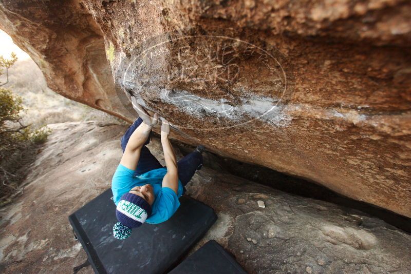 Bouldering in Hueco Tanks on 12/23/2018 with Blue Lizard Climbing and Yoga

Filename: SRM_20181223_1711560.jpg
Aperture: f/4.0
Shutter Speed: 1/160
Body: Canon EOS-1D Mark II
Lens: Canon EF 16-35mm f/2.8 L