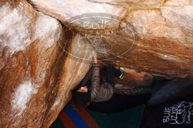 Bouldering in Hueco Tanks on 12/24/2018 with Blue Lizard Climbing and Yoga
Filename: SRM_20181224_1108430.jpg
Aperture: f/4.5
Shutter Speed: 1/125
Body: Canon EOS-1D Mark II
Lens: Canon EF 16-35mm f/2.8 L