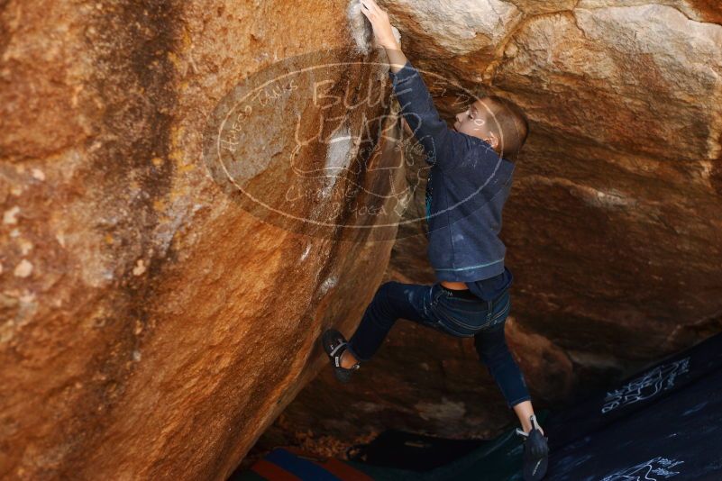 Bouldering in Hueco Tanks on 12/24/2018 with Blue Lizard Climbing and Yoga

Filename: SRM_20181224_1116310.jpg
Aperture: f/2.8
Shutter Speed: 1/400
Body: Canon EOS-1D Mark II
Lens: Canon EF 50mm f/1.8 II
