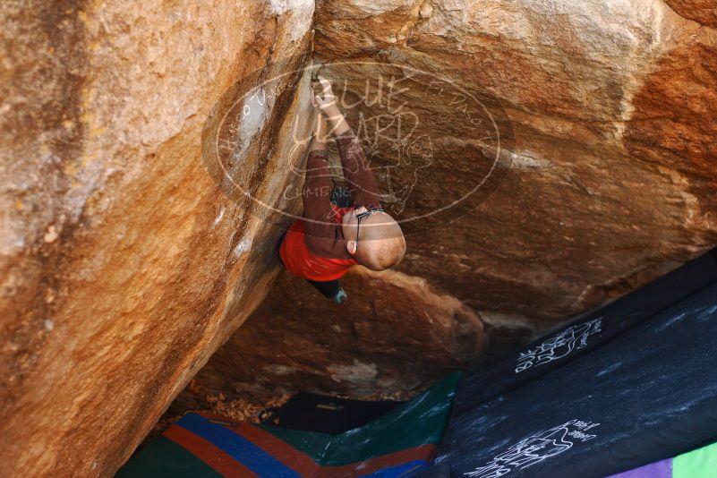 Bouldering in Hueco Tanks on 12/24/2018 with Blue Lizard Climbing and Yoga
Filename: SRM_20181224_1122340.jpg
Aperture: f/2.8
Shutter Speed: 1/250
Body: Canon EOS-1D Mark II
Lens: Canon EF 50mm f/1.8 II