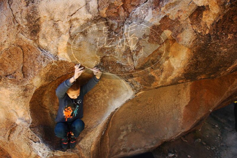 Bouldering in Hueco Tanks on 12/24/2018 with Blue Lizard Climbing and Yoga
Filename: SRM_20181224_1131410.jpg
Aperture: f/5.0
Shutter Speed: 1/200
Body: Canon EOS-1D Mark II
Lens: Canon EF 16-35mm f/2.8 L