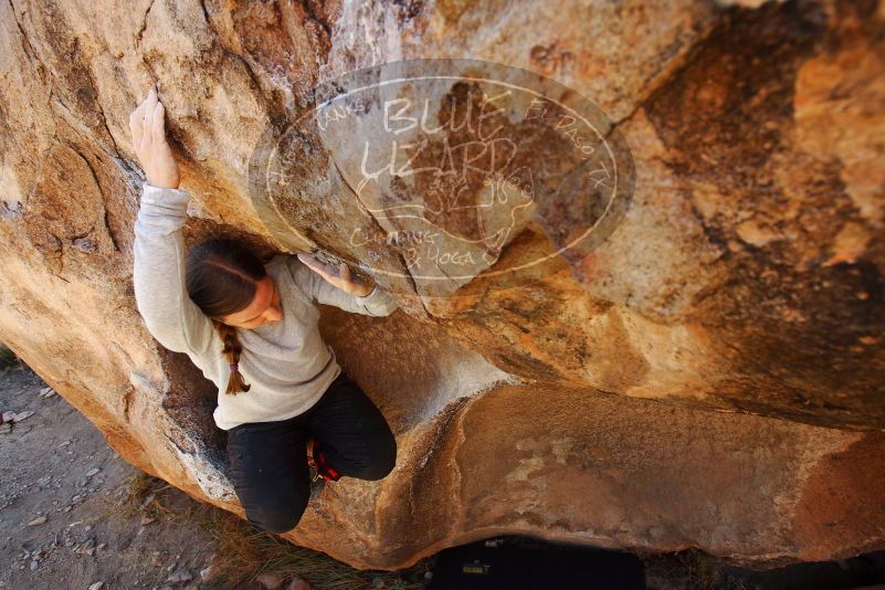 Bouldering in Hueco Tanks on 12/24/2018 with Blue Lizard Climbing and Yoga

Filename: SRM_20181224_1146590.jpg
Aperture: f/5.6
Shutter Speed: 1/200
Body: Canon EOS-1D Mark II
Lens: Canon EF 16-35mm f/2.8 L