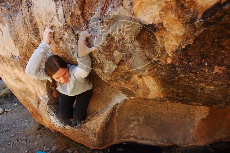 Bouldering in Hueco Tanks on 12/24/2018 with Blue Lizard Climbing and Yoga

Filename: SRM_20181224_1147110.jpg
Aperture: f/5.6
Shutter Speed: 1/200
Body: Canon EOS-1D Mark II
Lens: Canon EF 16-35mm f/2.8 L