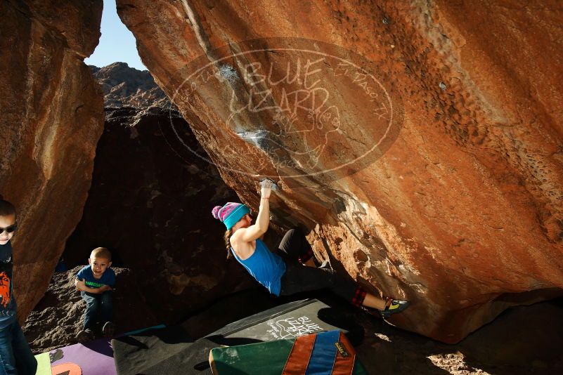 Bouldering in Hueco Tanks on 12/24/2018 with Blue Lizard Climbing and Yoga

Filename: SRM_20181224_1558360.jpg
Aperture: f/8.0
Shutter Speed: 1/250
Body: Canon EOS-1D Mark II
Lens: Canon EF 16-35mm f/2.8 L