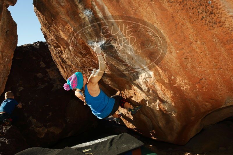 Bouldering in Hueco Tanks on 12/24/2018 with Blue Lizard Climbing and Yoga

Filename: SRM_20181224_1610570.jpg
Aperture: f/8.0
Shutter Speed: 1/250
Body: Canon EOS-1D Mark II
Lens: Canon EF 16-35mm f/2.8 L