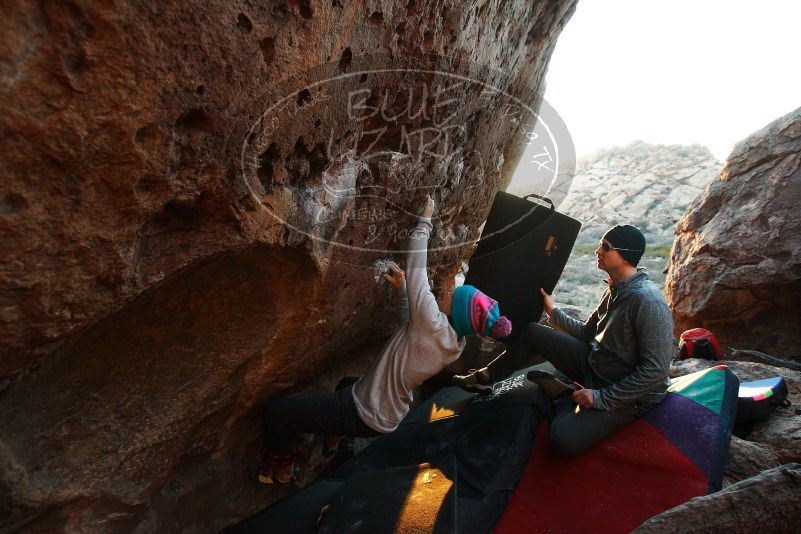 Bouldering in Hueco Tanks on 12/24/2018 with Blue Lizard Climbing and Yoga

Filename: SRM_20181224_1759230.jpg
Aperture: f/4.5
Shutter Speed: 1/160
Body: Canon EOS-1D Mark II
Lens: Canon EF 16-35mm f/2.8 L
