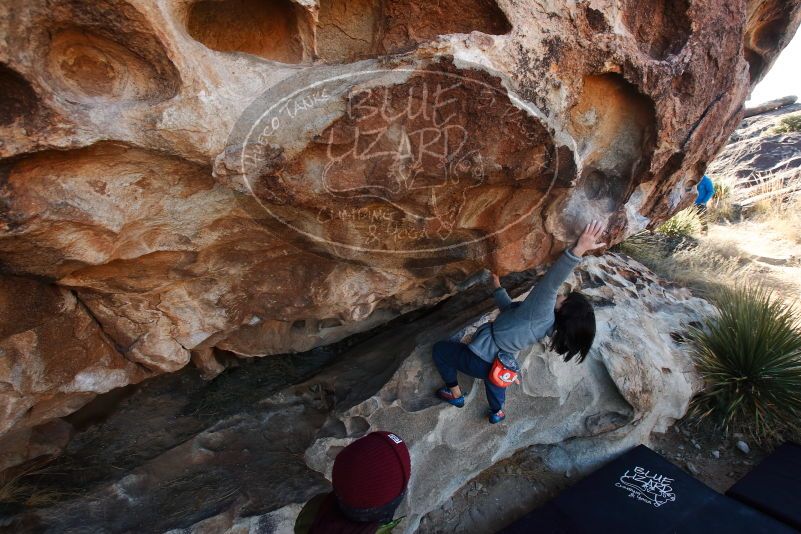 Bouldering in Hueco Tanks on 12/30/2018 with Blue Lizard Climbing and Yoga

Filename: SRM_20181230_1031260.jpg
Aperture: f/6.3
Shutter Speed: 1/200
Body: Canon EOS-1D Mark II
Lens: Canon EF 16-35mm f/2.8 L