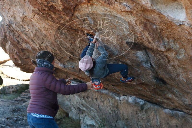 Bouldering in Hueco Tanks on 12/30/2018 with Blue Lizard Climbing and Yoga
Filename: SRM_20181230_1138090.jpg
Aperture: f/3.2
Shutter Speed: 1/400
Body: Canon EOS-1D Mark II
Lens: Canon EF 50mm f/1.8 II