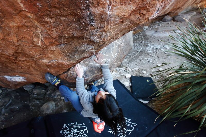 Bouldering in Hueco Tanks on 12/30/2018 with Blue Lizard Climbing and Yoga

Filename: SRM_20181230_1622390.jpg
Aperture: f/3.5
Shutter Speed: 1/200
Body: Canon EOS-1D Mark II
Lens: Canon EF 16-35mm f/2.8 L