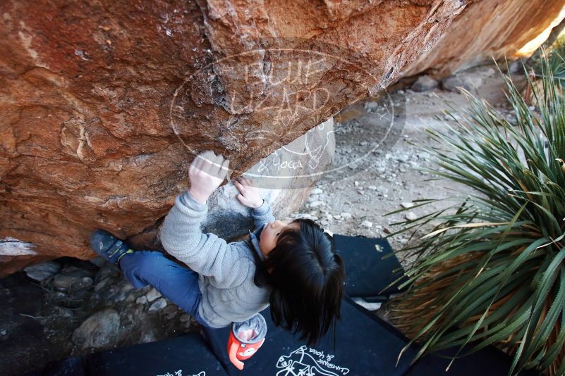 Bouldering in Hueco Tanks on 12/30/2018 with Blue Lizard Climbing and Yoga

Filename: SRM_20181230_1622401.jpg
Aperture: f/3.5
Shutter Speed: 1/200
Body: Canon EOS-1D Mark II
Lens: Canon EF 16-35mm f/2.8 L