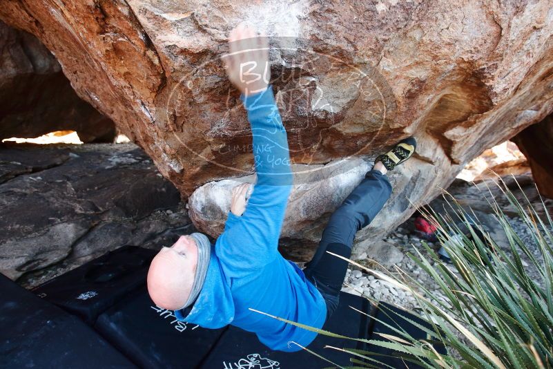 Bouldering in Hueco Tanks on 12/30/2018 with Blue Lizard Climbing and Yoga

Filename: SRM_20181230_1627540.jpg
Aperture: f/4.5
Shutter Speed: 1/200
Body: Canon EOS-1D Mark II
Lens: Canon EF 16-35mm f/2.8 L
