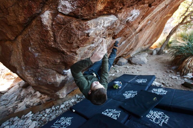 Bouldering in Hueco Tanks on 12/30/2018 with Blue Lizard Climbing and Yoga

Filename: SRM_20181230_1648300.jpg
Aperture: f/3.2
Shutter Speed: 1/250
Body: Canon EOS-1D Mark II
Lens: Canon EF 16-35mm f/2.8 L