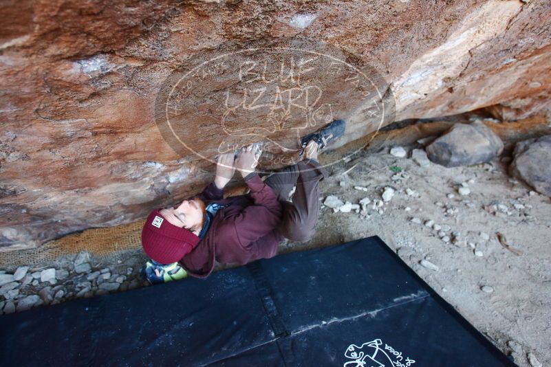Bouldering in Hueco Tanks on 12/30/2018 with Blue Lizard Climbing and Yoga

Filename: SRM_20181230_1656460.jpg
Aperture: f/3.5
Shutter Speed: 1/200
Body: Canon EOS-1D Mark II
Lens: Canon EF 16-35mm f/2.8 L
