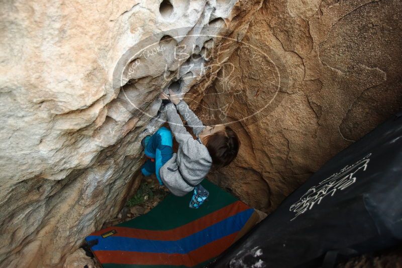 Bouldering in Hueco Tanks on 01/01/2019 with Blue Lizard Climbing and Yoga

Filename: SRM_20190101_1036470.jpg
Aperture: f/3.2
Shutter Speed: 1/200
Body: Canon EOS-1D Mark II
Lens: Canon EF 16-35mm f/2.8 L