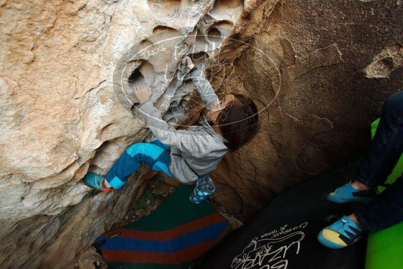 Bouldering in Hueco Tanks on 01/01/2019 with Blue Lizard Climbing and Yoga

Filename: SRM_20190101_1038340.jpg
Aperture: f/3.2
Shutter Speed: 1/200
Body: Canon EOS-1D Mark II
Lens: Canon EF 16-35mm f/2.8 L