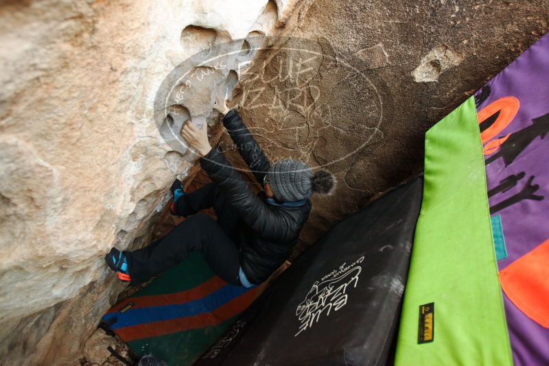 Bouldering in Hueco Tanks on 01/01/2019 with Blue Lizard Climbing and Yoga

Filename: SRM_20190101_1042300.jpg
Aperture: f/2.8
Shutter Speed: 1/200
Body: Canon EOS-1D Mark II
Lens: Canon EF 16-35mm f/2.8 L